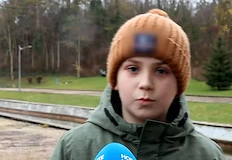 Животните били блокирани на малък остров в близкото езероГраждани организираха