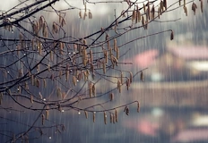 Жълт код за опасно време е в сила за 10