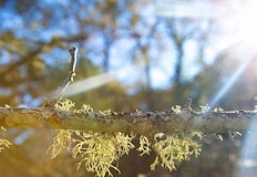 Атмосферното налягане пада подгответе се за рязка промянаНа 14 февруари