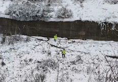 Служители на горското и ловци извадиха упоеното животно от капанаСлужители