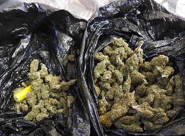 Разбиха наркосхема при спецакция в центъра на Русе