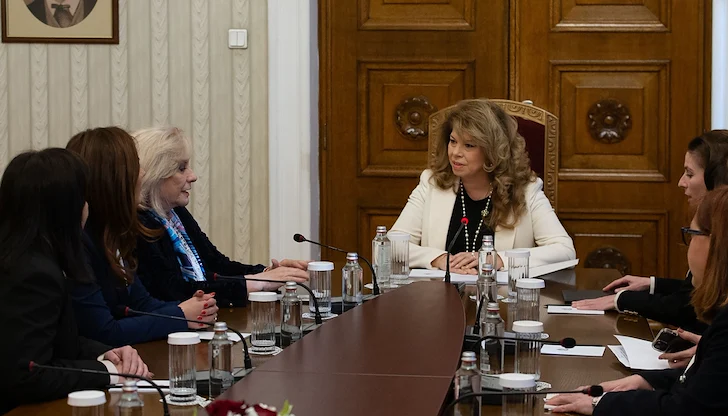 Държавният глава прехвърли вината за конституционната безизходица на парламента