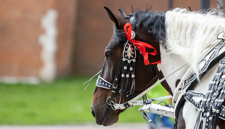 Православната църква почита паметта на свети великомъченик Теодор Тирон Православната църква почита паметта на свети великомъченик Теодор Тирон
