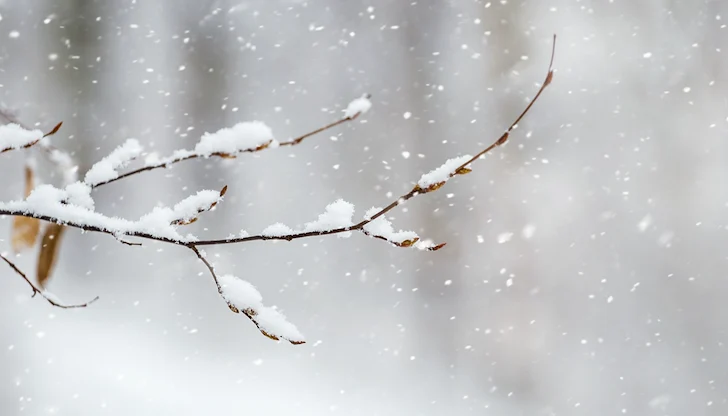 Сняг ще завали в Източна България към края на деня Сняг ще завали в Източна България към края на деня