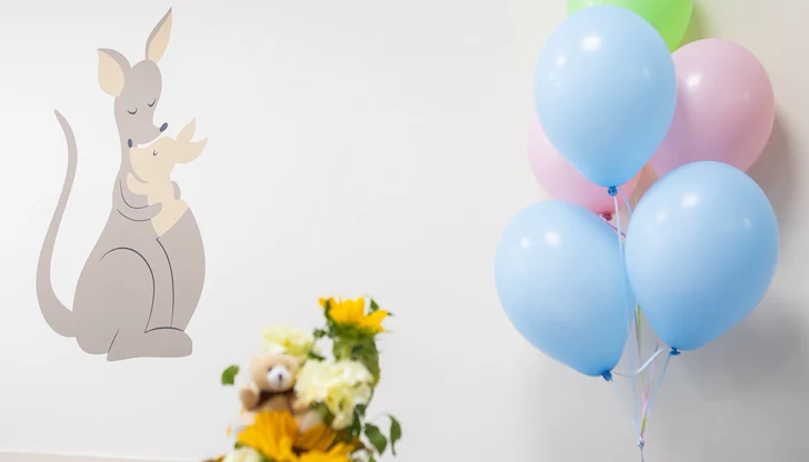 Новородено с близо 6 килограма тегло проплака в „Майчин дом“ Новородено с близо 6 килограма тегло проплака в „Майчин дом“