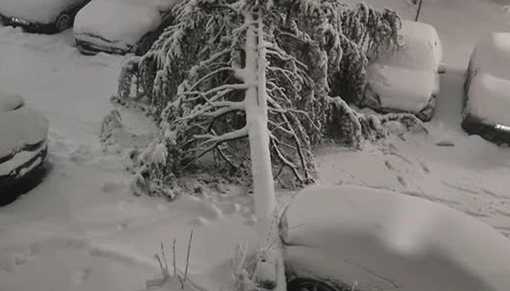 Преминаването по улица "Плевен" е невъзможно Преминаването по улица "Плевен" е невъзможно