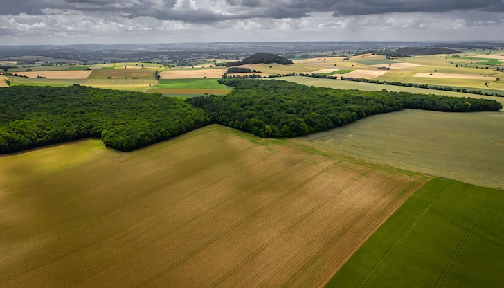 Министерството на земеделието запълва бюджетни дупки с търгове в стопански дворове Министерството на земеделието запълва бюджетни дупки с търгове в стопански дворове