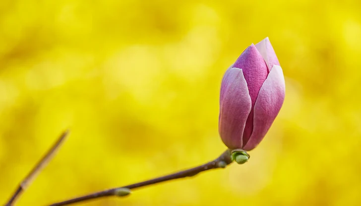 Температурите ще продължат да се повишават Температурите ще продължат да се повишават