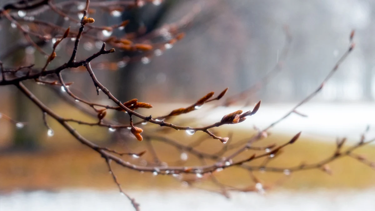 Сутрешни студове до минус 8 градуса и валежи в планинитеВремето