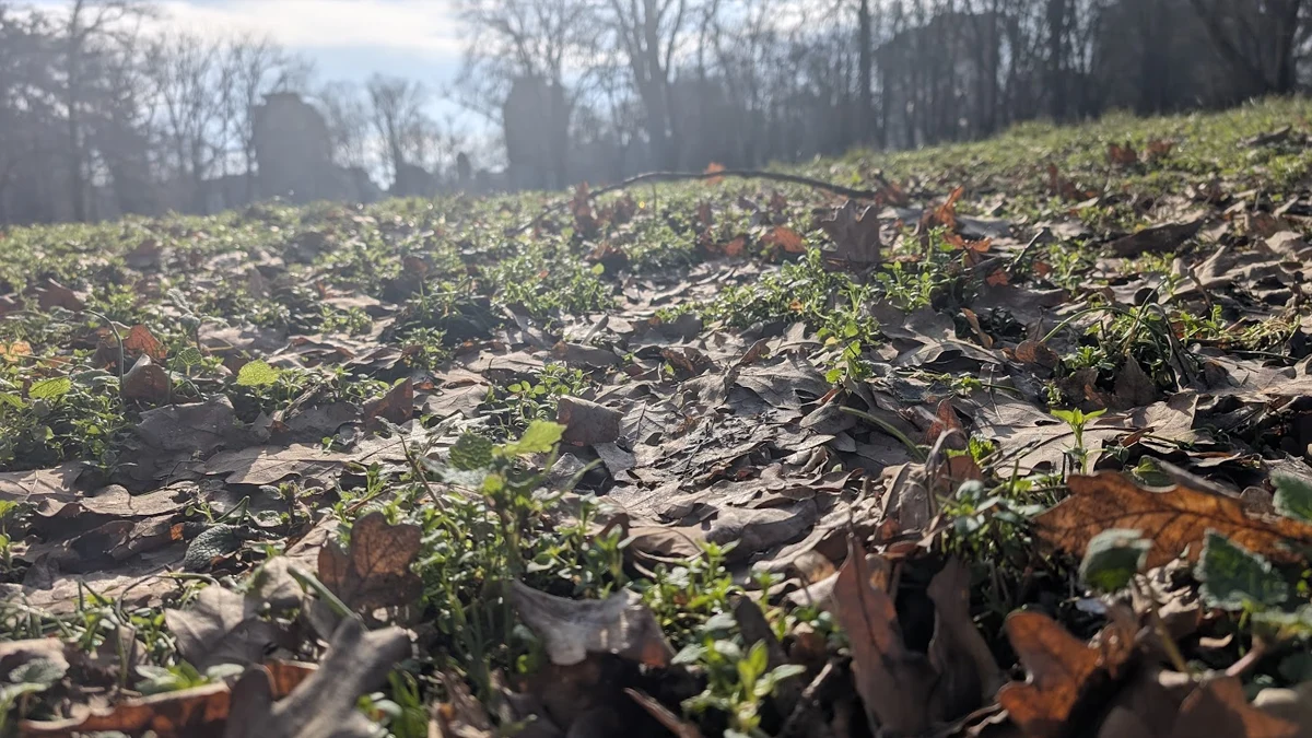 Максималните температури в Русе обаче ще достигнат едва 6 градусаСлед