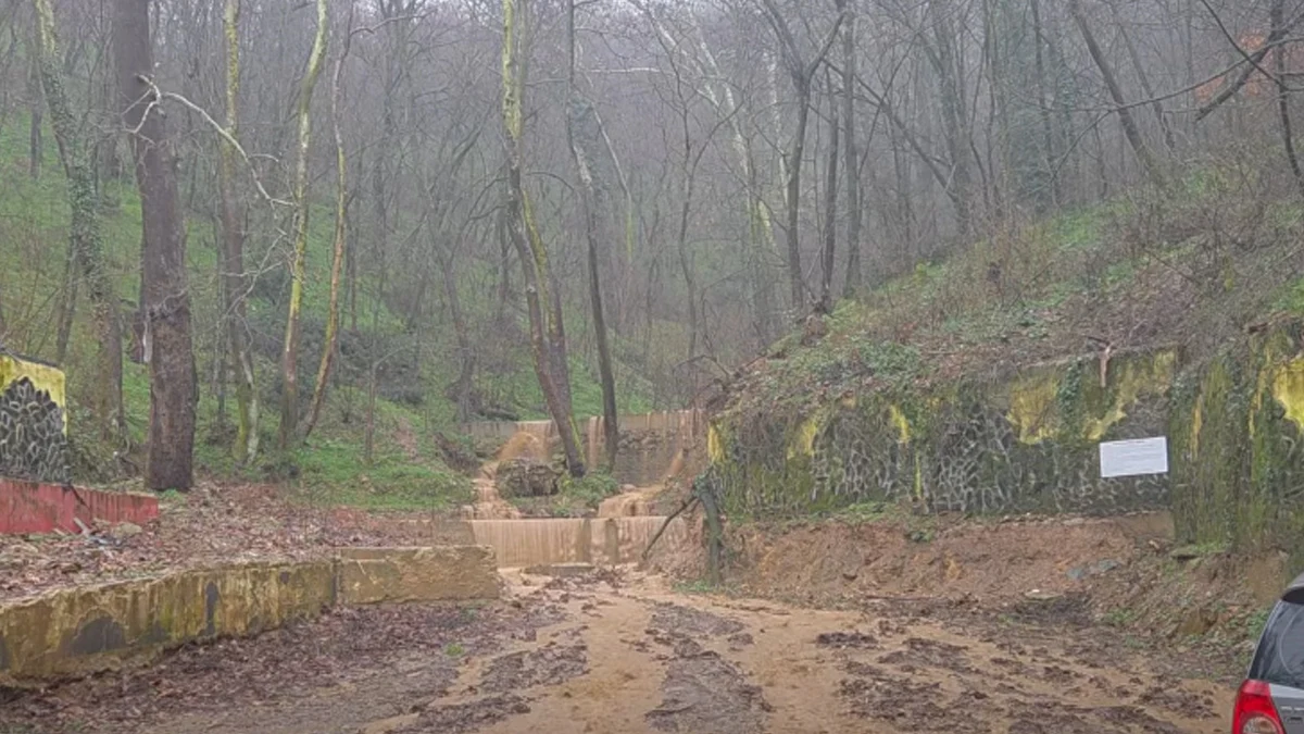 В района паднаха над 75 литра дъжд на квадратен метър