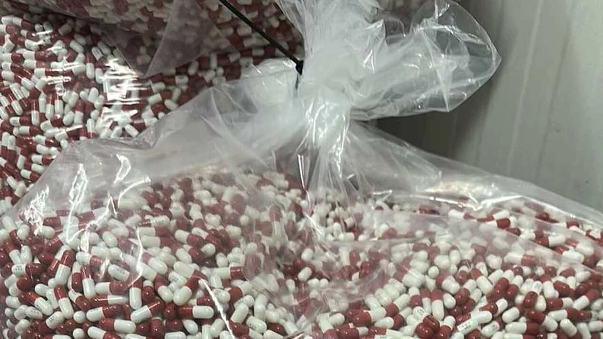 Обвиняемите са задържани за 72 часа след акция в БогданицаДвама