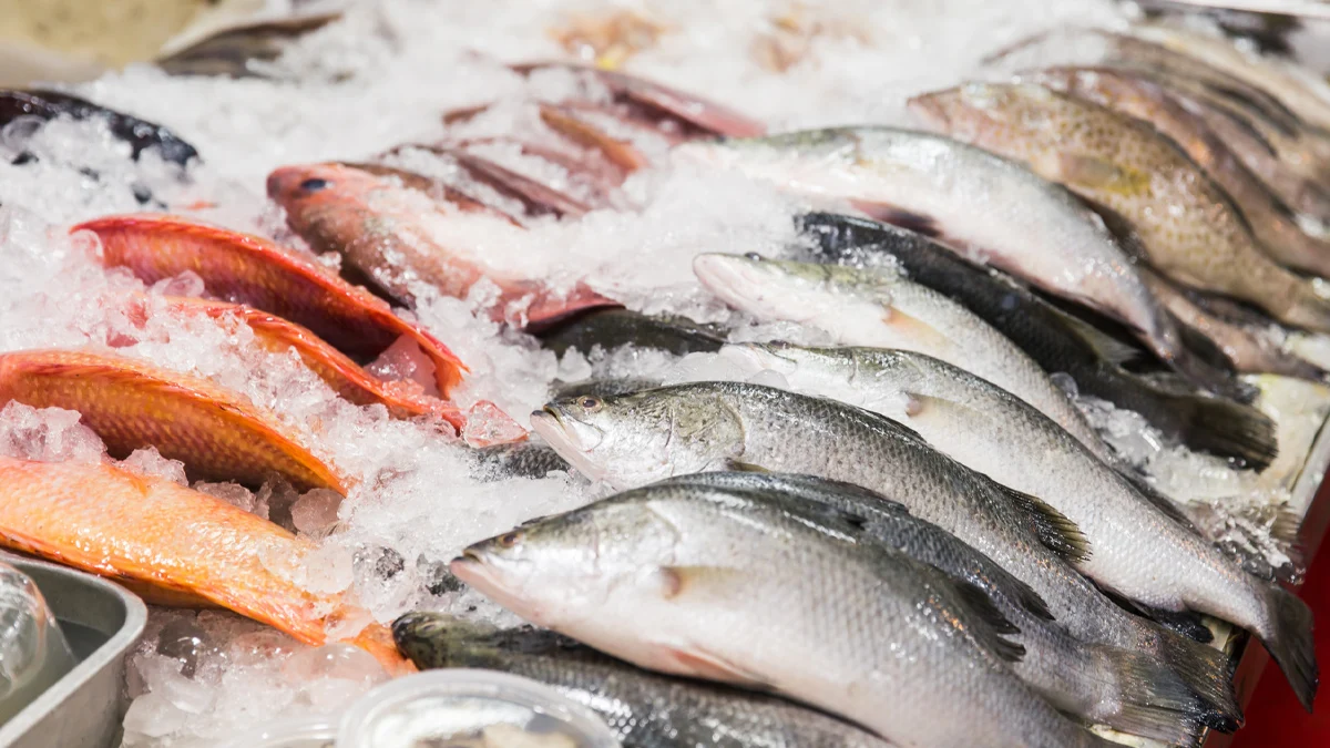 Глобалният сектор за 195 милиарда долара е пропит от фалшификации