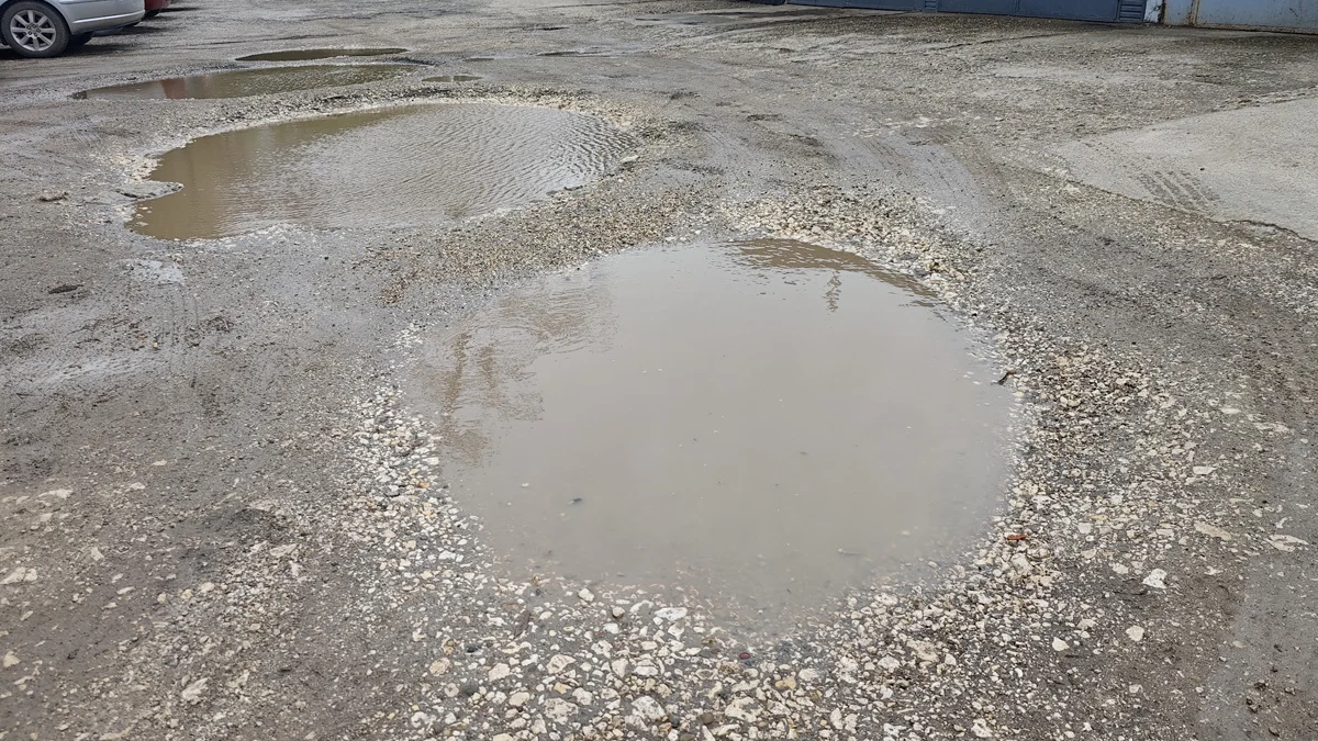 Липсата на контрол върху паркирането в зелени площи превръща града