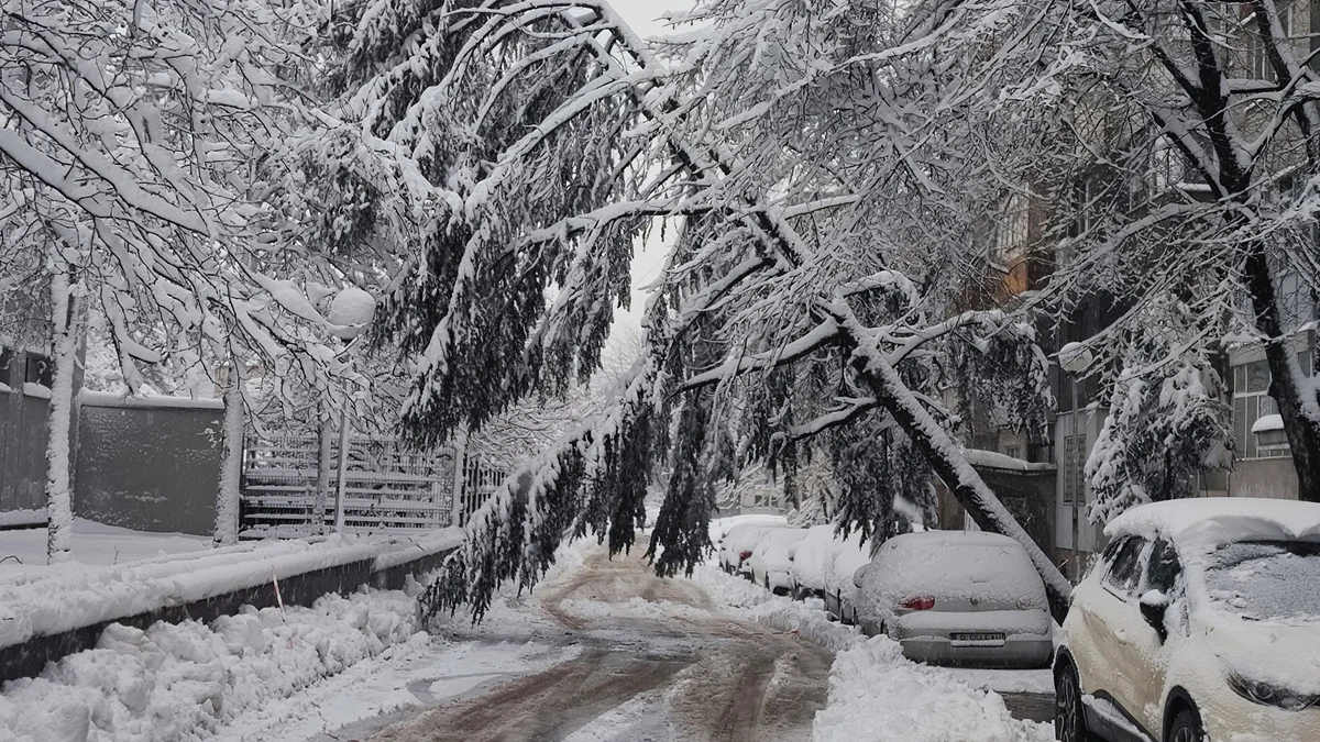 Собственикът на автомобила все още не знае за инцидента, докато