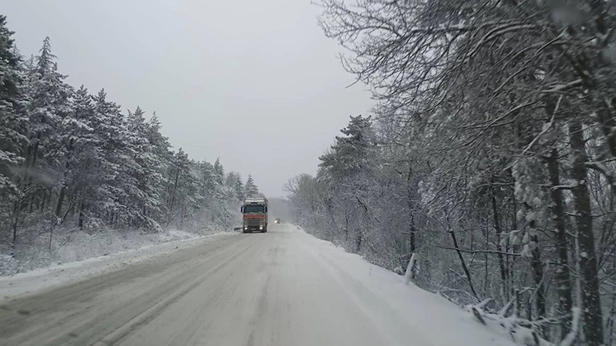 Пътната блокада в Монтанско продължи над 12 часаБлокада на международния