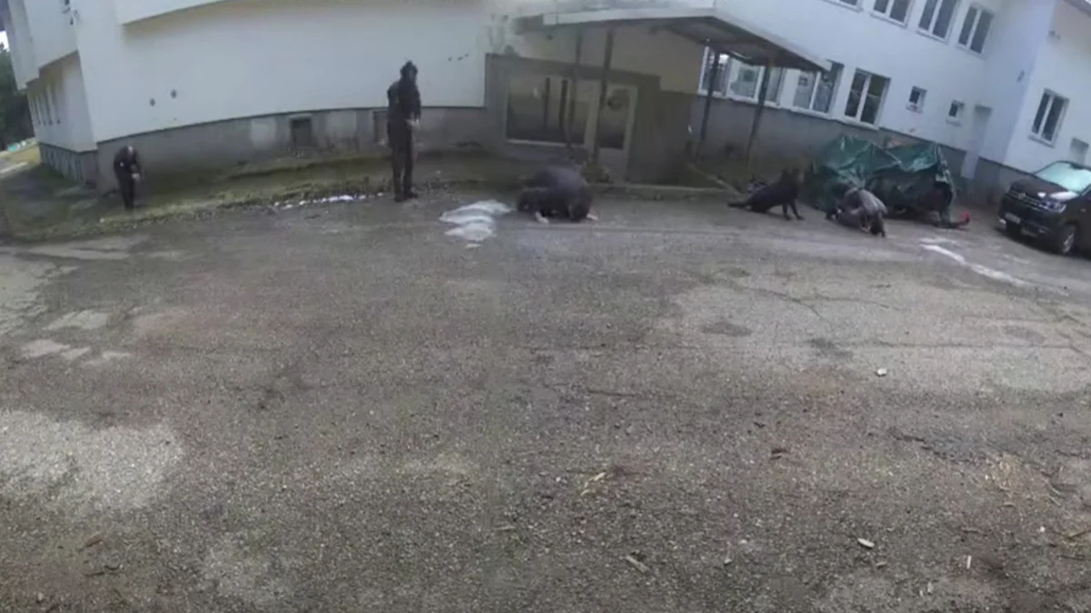 Твърденията на органите на реда обаче се различават от датите