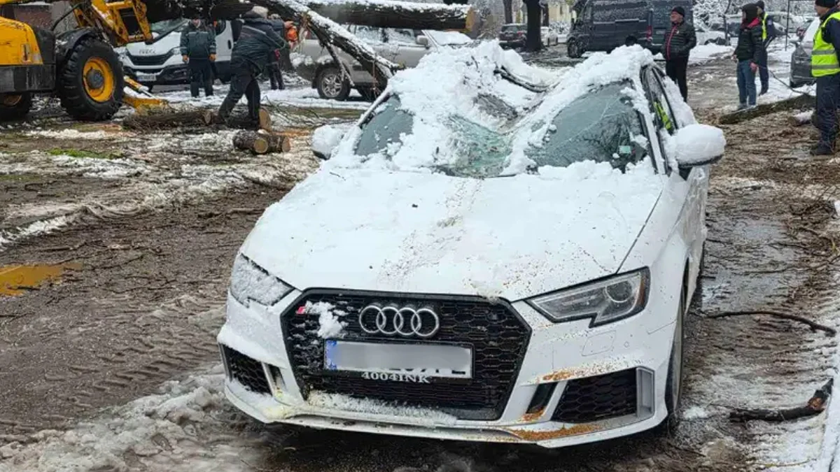 Опасният ствол е бил със заповед за премахване от две