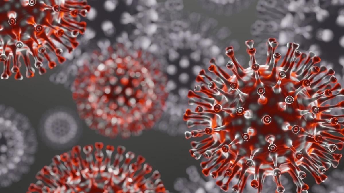 Инфекцията е тръгнала от болница в индийския щат Западна Бенгалия