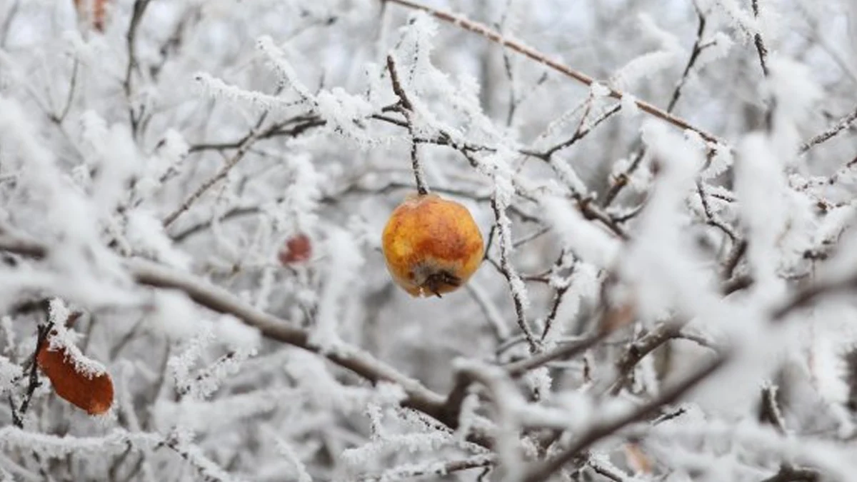 Валежите спират навсякъде, облачността се разкъсва след обядПрез нощта срещу