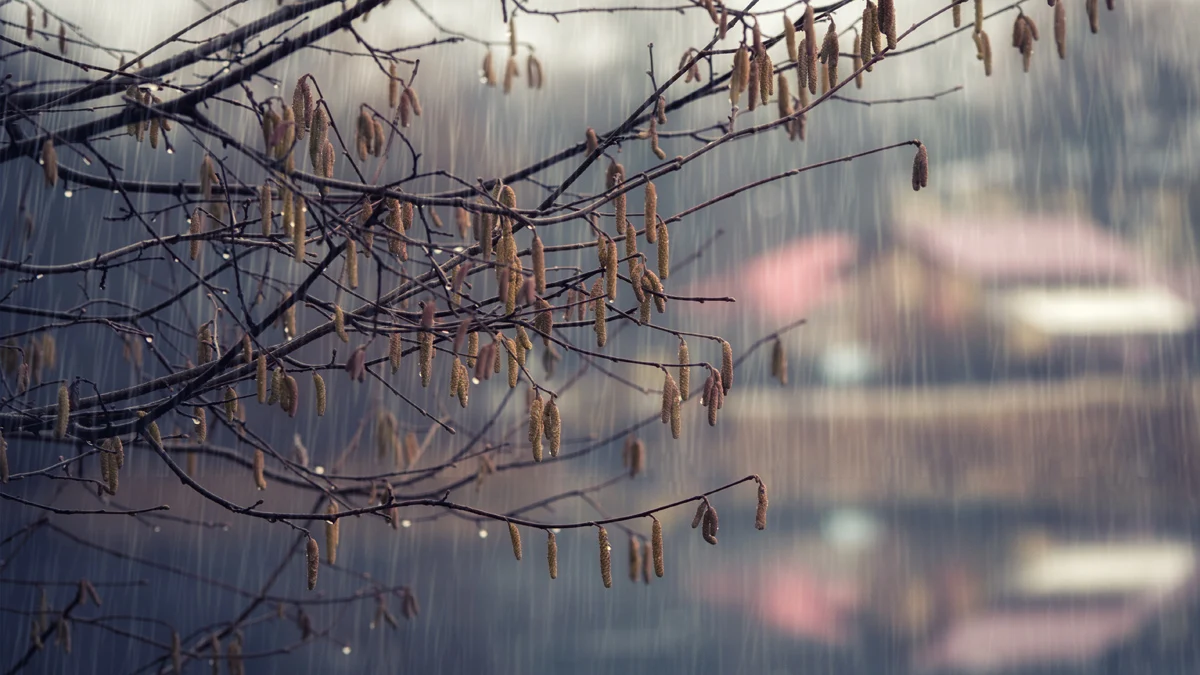 Жълт код за опасно време е в сила за 10