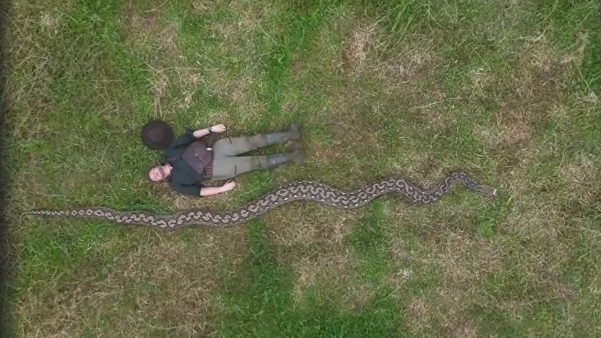 Рекордът е регистриран в Книгата на Гинес след измерване в