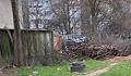 Незаконна сеч тревожи жителите в квартал "Здравец"
