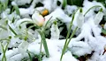 Зимата атакува България на първа пролет