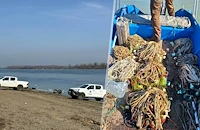 Извадиха бракониерски кърмаци от река Дунав