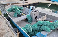 Хванаха над половин тон бракониерски миди в Обзор