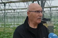 Производител: За Великден ще има български краставици, а за Герговден - и домати