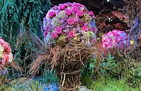 Филаделфия откри най-голямото изложение на цветя навръх 8-и март