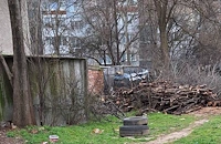 Незаконна сеч тревожи жителите в квартал "Здравец"