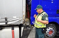 Кучето Пирин надуши марихуана в тайници на лек автомобил