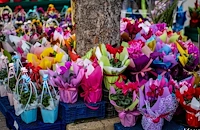 Хиляди букети заляха Централния пазар в Русе