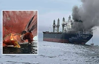 Ракети удариха търговски кораб в Ормузкия проток