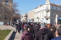 Опашка за дръвчета се изви в центъра на Русе