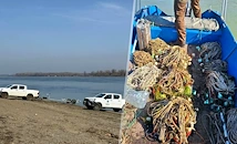 Извадиха бракониерски кърмаци от река Дунав