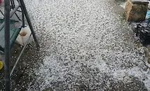 Градушка удари село Писанец в Русенско