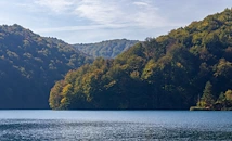 Езерата по света са застрашени от нашествие на едри животни