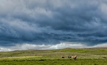 Влагата в почвата диктува силата на бурите