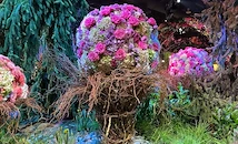 Филаделфия откри най-голямото изложение на цветя навръх 8-и март