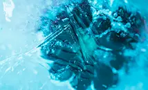 Суперионен лед пренаписва законите за състоянията на водата