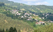 Село в Родопите "отгледа" седем милионери