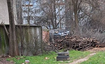Незаконна сеч тревожи жителите в квартал "Здравец"