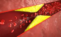 Черният дроб произвежда 80% от холестерола в тялото