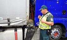 Кучето Пирин надуши марихуана в тайници на лек автомобил