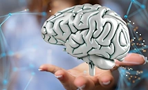 Учени: Мозъкът се обновява до края на живота