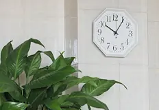 Учените алармират за скок на инфарктите след превъртането на стрелкитеТочно
