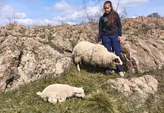 Безпрецедентната акция край село Широко поле завърши с щастлив крайСлед